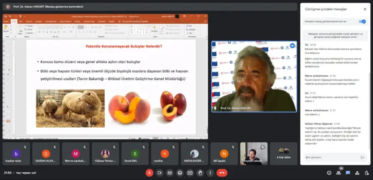 Fotoğraflar 7